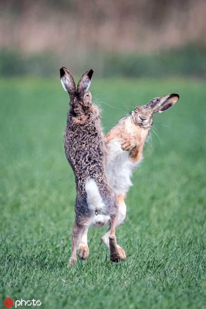 Xem tho duc dien cuong chien dau vi tinh-Hinh-4