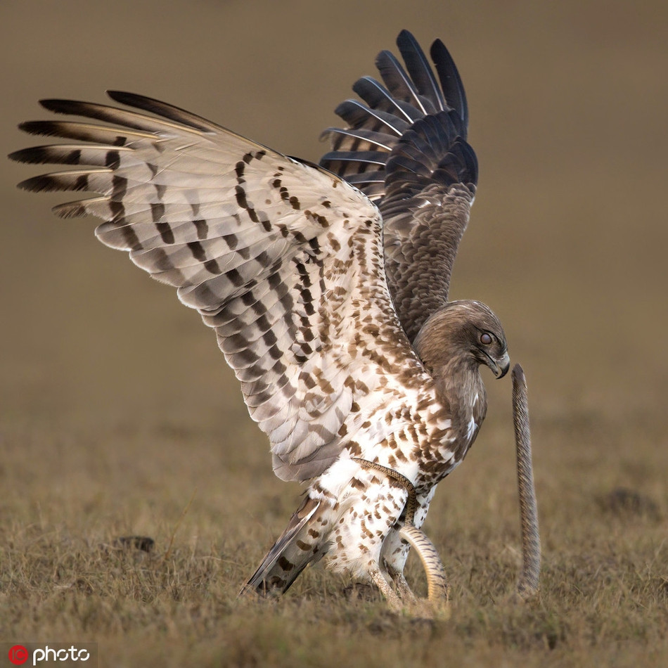 Theo anh Sambath chia sẻ, ngày hôm đó, khi đi cùng với một người bạn và con gái mình đến Tamil Nadu, bất ngờ anh nghe thấy tiếng động mạnh.