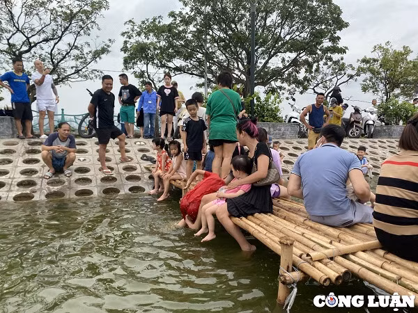 Gioi tre Ha Noi thich thu voi hang nghin chu ca Koi Ho Tay-Hinh-12