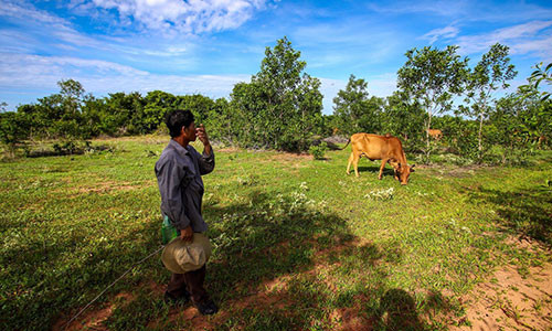 5 dau hieu nhan biet du an ‘ma’ kieu Alibaba