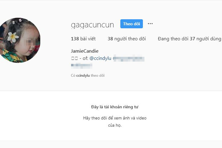 Trang cá nhân của hai con gái Hoài Lâm chỉ để công khai bức ảnh đại diện.