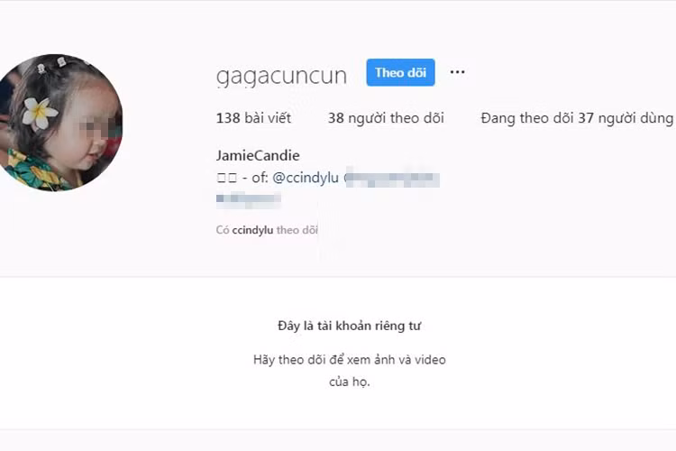 Trang cá nhân của hai con gái Hoài Lâm chỉ để công khai bức ảnh đại diện.