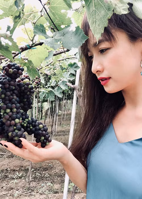 Lê Bê La còn vướng lùm xùm cạch mặt Ngọc Lan. Cả hai từng đóng chung phim "Cổng mặt trời".