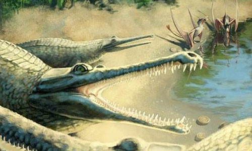 Phat hien loai ca sau bien co ham rang dang so