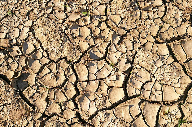 Nu gioi cung co nguy co yeu sinh ly cao neu thay dau hieu nay-Hinh-4