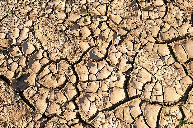 Nữ giới cũng có nguy cơ yếu sinh lý cao nếu thấy dấu hiệu này - Hình 4 Nu gioi cung co nguy co yeu sinh ly cao neu thay dau hieu nay-Hinh-4