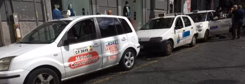 Giai ma DNA cua loai chim da tuyet chung-Hinh-2