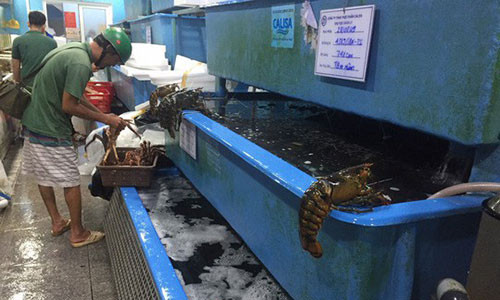 Loat hai san dat tien dua nhau giam gia dip 2/9