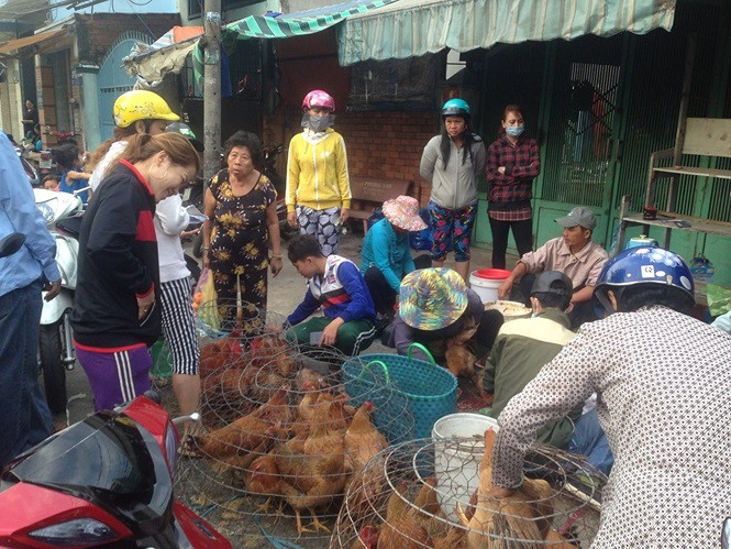 Tại các chợ truyền thống, hàng hóa cũng rất phong phú, tuy nhiên giá cũng tăng theo. Gà, thịt heo, thủy hải sản giá tăng từ 10-20%, như thịt gà 140.000 đồng/kg, cua biển 450.000 đồng/kg...