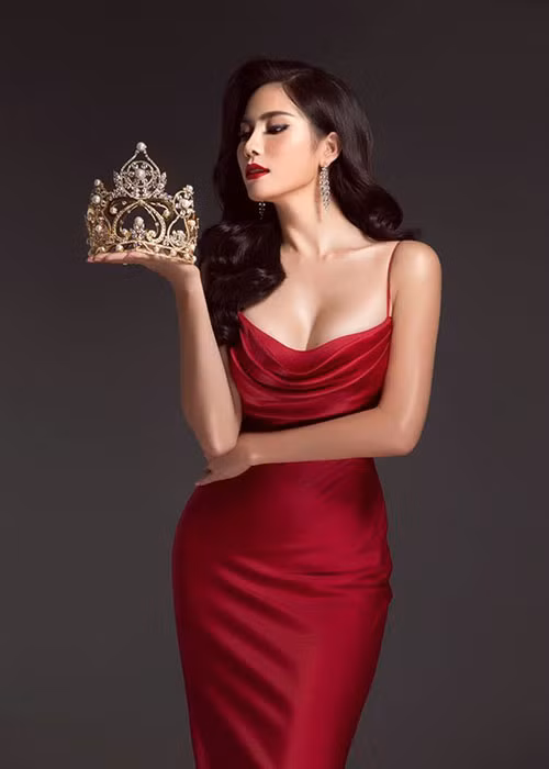 Vi sao dinh loat tai tieng, Hoang Hanh van dai dien VN thi Miss Earth?