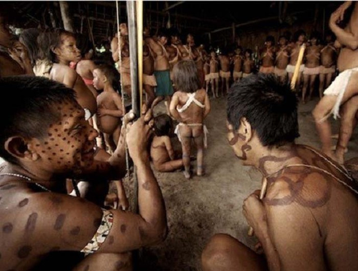 Khoảng một năm sau, người Yanomami sẽ đem tro cốt người chết ra trộn vào thức ăn, trong đó có món chính là chuối nấu - món ăn chính trong ngày giỗ tưởng nhớ người quá cố.