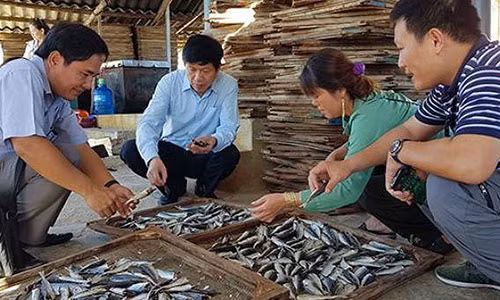 Trung Quoc lien tuc thay doi, hang Viet un tac tro tay khong kip