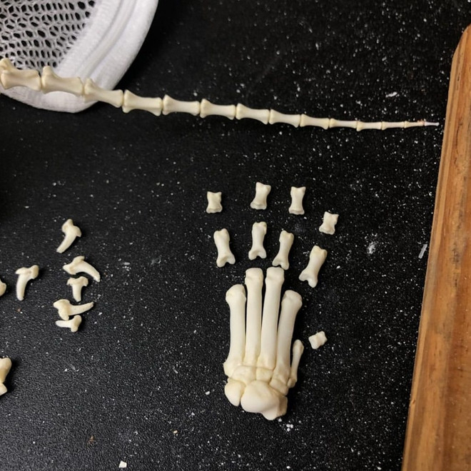 Một đoạn xương bàn tay được rao bán trên Instagram. Ảnh nguồn: Social News Daily.