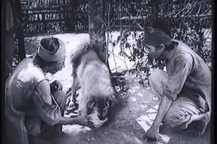 Nghệ sĩ Việt Liên bày tỏ việc vào vai Lão Hạc là một thách thức lớn vì những người đảm trách vai Lão Hạc thế hệ trước đều là những tên tuổi lớn. Ảnh: Vietnamnet