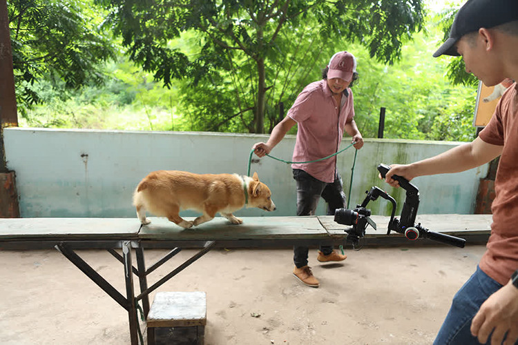 Trong dự án "Cậu Vàng", vai diễn được xem rất quan trọng là Cậu Vàng. Ảnh: Zing