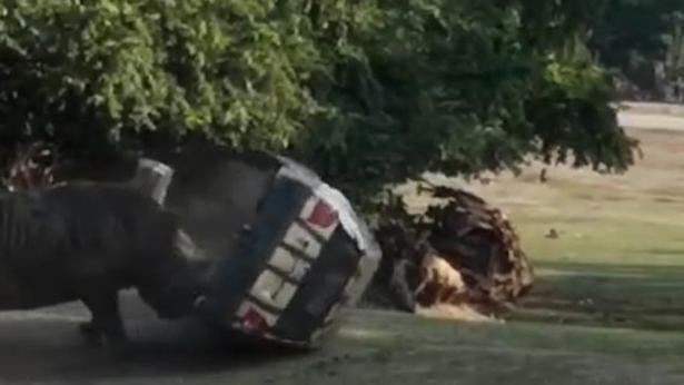 Te giac noi dien huc vang, lat di lat lai o to dang co nguoi-Hinh-3