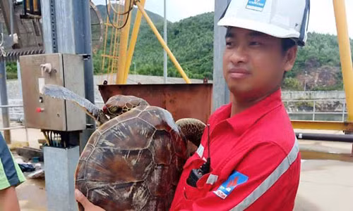 Tha doi moi quy hiem nang hon 10kg ve lai bien Ha Tinh