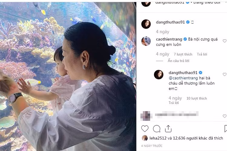 Cuộc sống của Thu Thảo hiện viên mãn. Gần đây, cô khéo khoe mối quan hệ tốt đẹp với mẹ chồng bằng hình ảnh mẹ chồng bên bé Sophie - con gái của Thu Thảo.