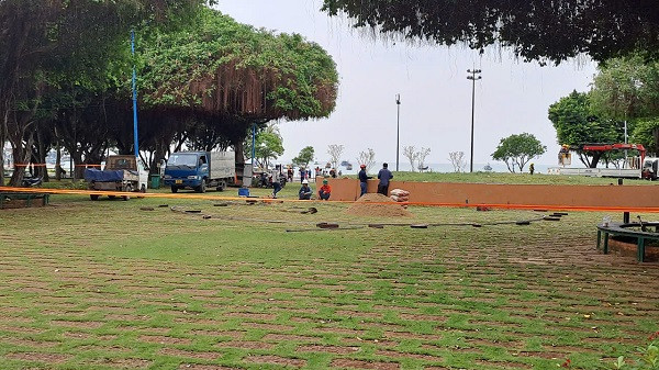 BR - VT: Can canh goi thau trang tri Hoa vien Quang Trung don xuan 2025-Hinh-9