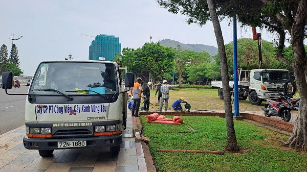 BR - VT: Can canh goi thau trang tri Hoa vien Quang Trung don xuan 2025-Hinh-4