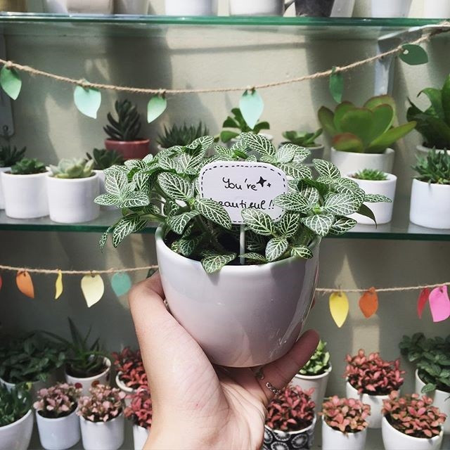 Mon qua doc, la ngay 8/3 danh cho ban gai/ nguoi yeu-Hinh-4