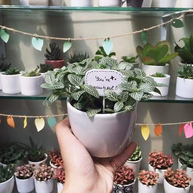 Mon qua doc, la ngay 8/3 danh cho ban gai/ nguoi yeu-Hinh-4