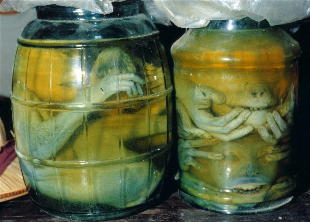 Muốn biết con người ta ăn uống "tạp" đến mức nào, xin hãy nhìn kỹ vào hũ rượu này. Loài linh trưởng bị ngâm làm rượu "bổ dương". Ảnh: CTV.