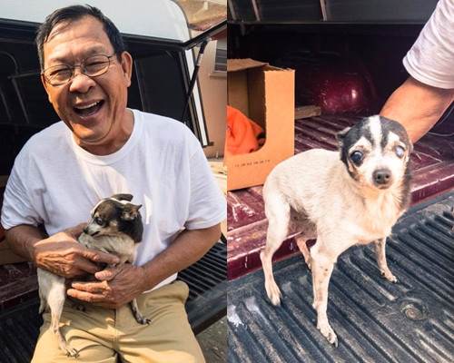 Cho anh dung cuu chu thoat khoi cac dam chay ra sao?-Hinh-2