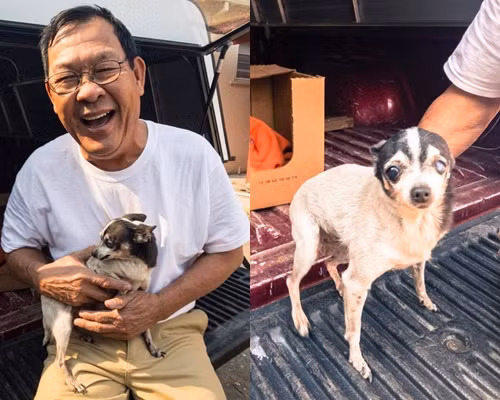 Cho anh dung cuu chu thoat khoi cac dam chay ra sao?-Hinh-2