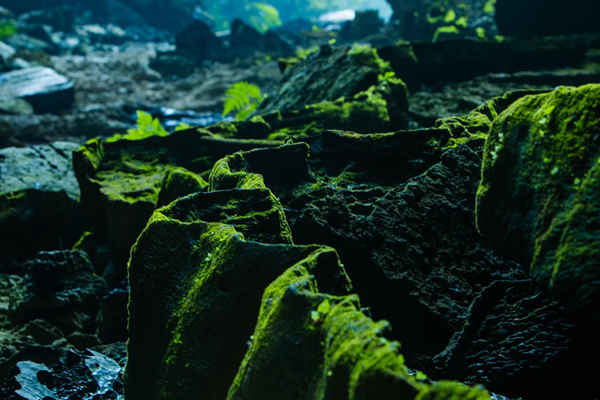 Ở khu vực trên mặt đất, nước xói mòn các lớp đá vôi qua hàng triệu năm tạo ra những khe rãnh uốn lượn tuyệt đẹp, rồi những thảm rêu bám lên bề mặt tạo nên dòng chảy xanh mướt.