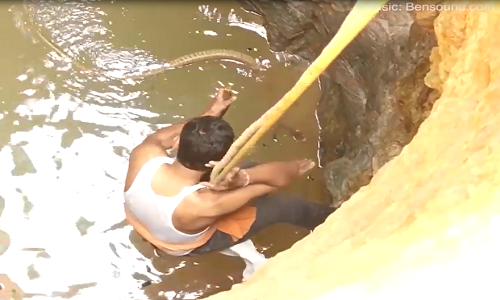 Đu dây xuống giếng sâu 12 mét giải cứu rắn hổ mang