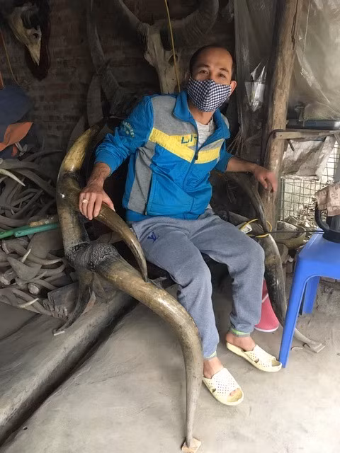 Trong khi đó, người ta chơi trội đến mức, làm cái “ghế quan lớn” này toàn bộ bằng sừng thú rừng Châu Phi quý hiếm, dăm bảy con vật khổng lồ bị giết mới đủ sừng cho “kỳ quan nhẫn tâm” ấy.