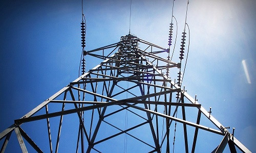 Điện có thể truyền qua những vật như cành cây và giết chết bất cứ ai đến quá gần. (Ảnh minh họa)