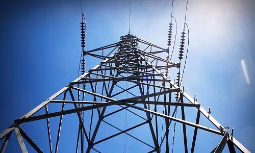 Điện có thể truyền qua những vật như cành cây và giết chết bất cứ ai đến quá gần. (Ảnh minh họa)