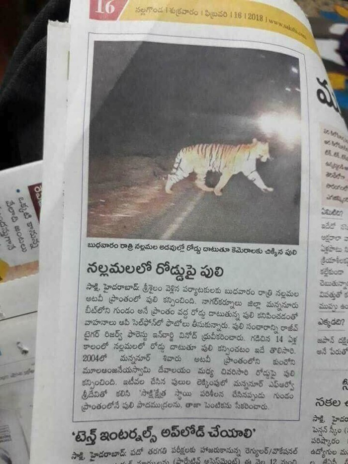 Bài báo được đăng vào tháng 1/2018 tại Thái Lan.