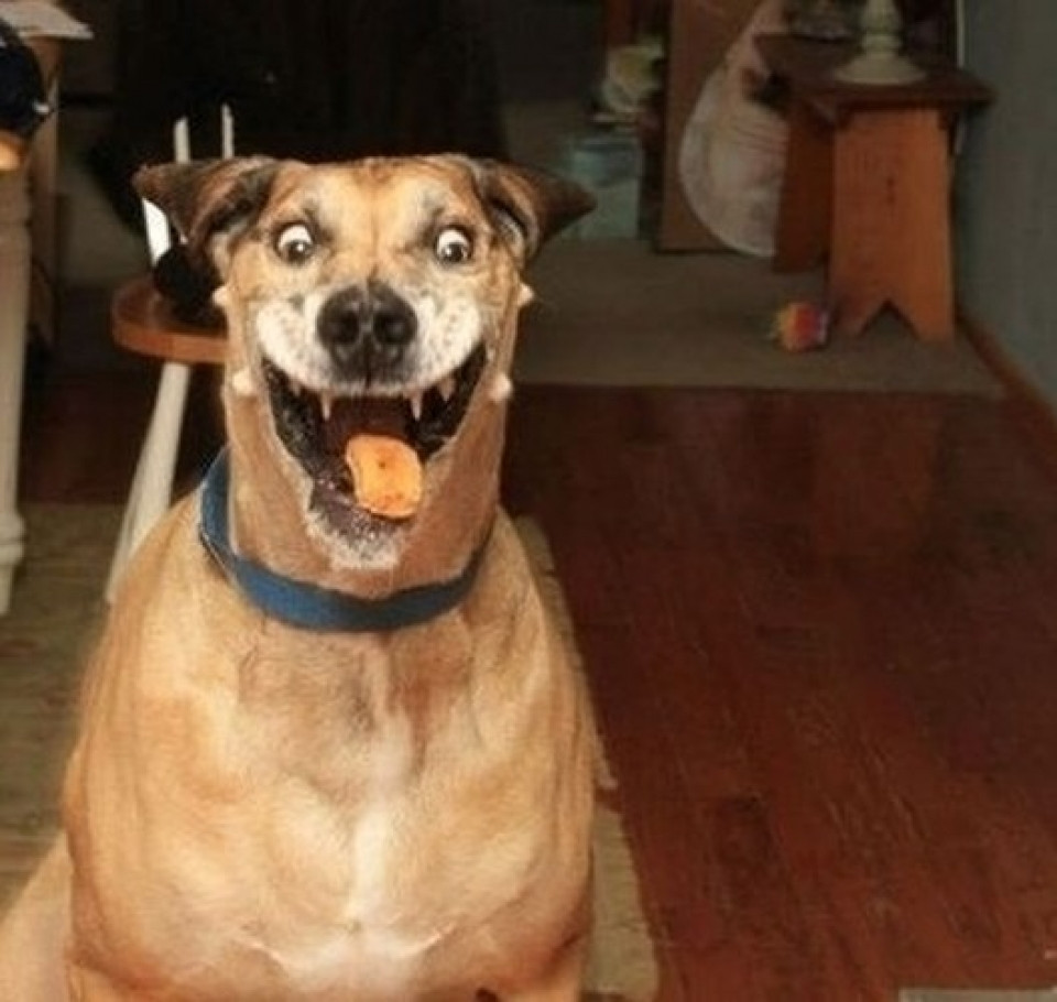 "Có đáng sợ không?"