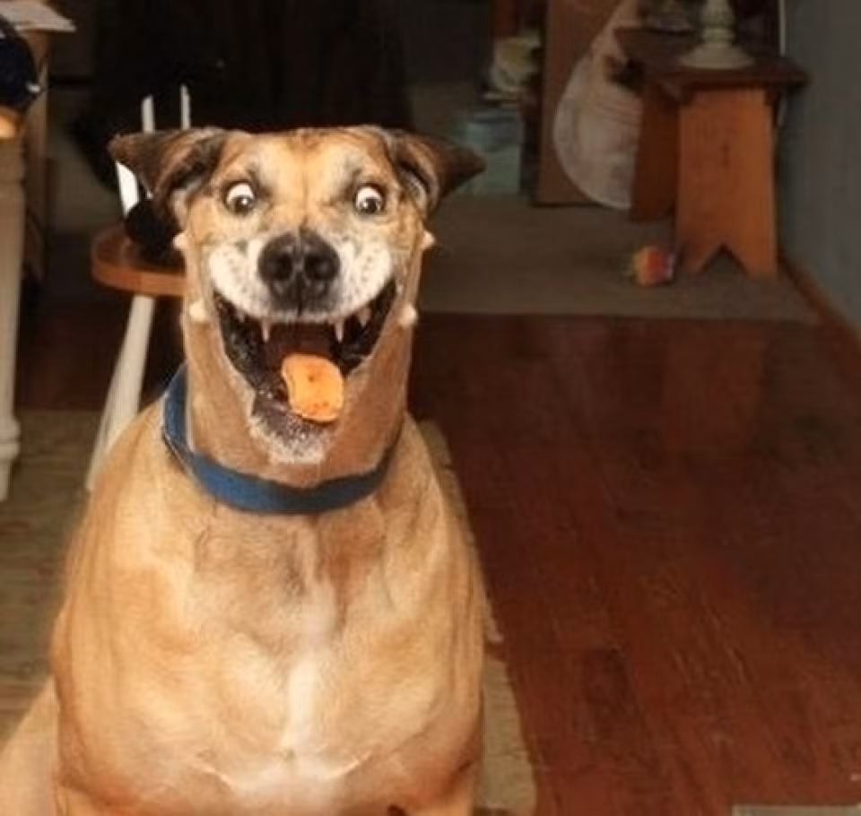 "Có đáng sợ không?"