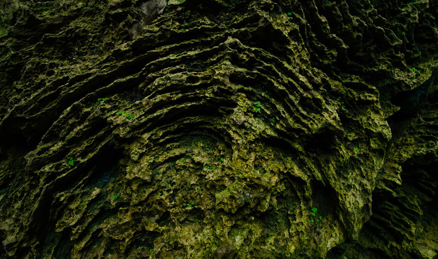 Trần hang có những cột thạch nhũ cao gần 10 mét, lung linh tuyệt đẹp.