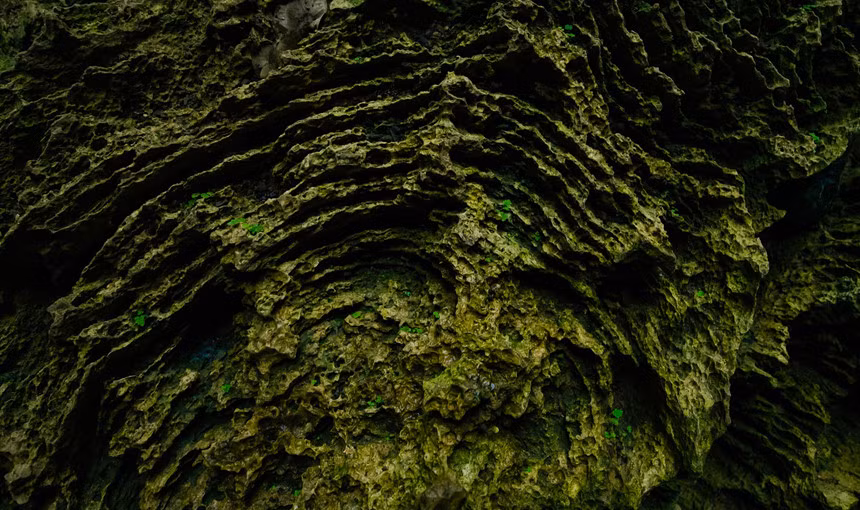 Trần hang có những cột thạch nhũ cao gần 10 mét, lung linh tuyệt đẹp.