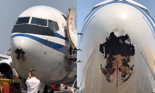 Lỗ hổng lớn ở đầu máy bay từ cú va chạm với chú chim. Ảnh: Shanghaiist