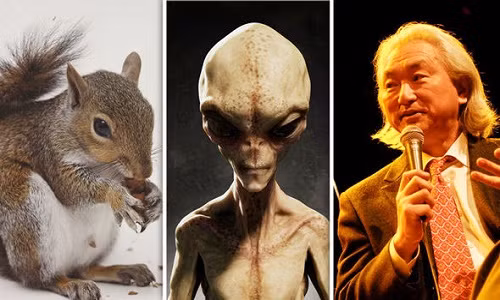 Tiến sĩ Kaku cho rằng trong mắt người ngoài hành tinh, con người chẳng khác gì những "con sóc"