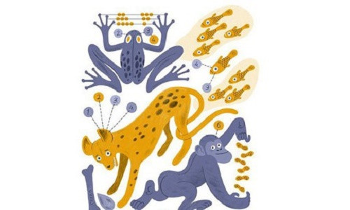 Liệu các động vật có biết đếm? - Ảnh: Esther Aarts