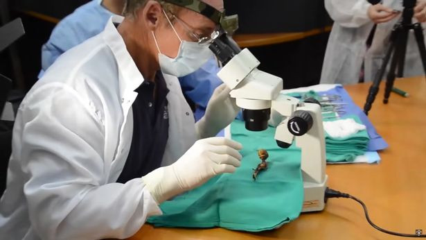 Bộ xương lần đầu được phát hiện ở Chile vào năm 2003.