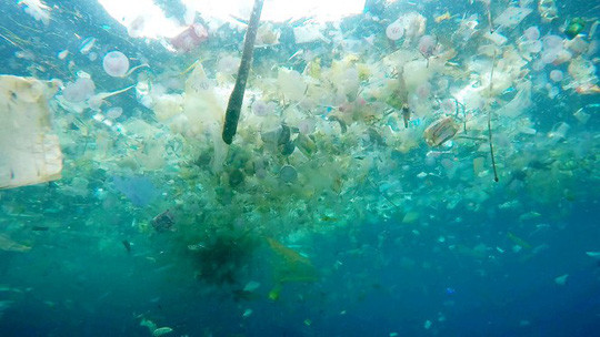 "Tôi quyết định đăng tải đoạn clip vì nó tồi tệ hơn bình thường rất, rất nhiều. Vì vùng biển của chúng ta bị ảnh hưởng chủ yếu từ luồng chảy của Indonesia nên số rác thải này đang trôi đi rất nhanh vào mùa mưa" - thợ lặn người Anh nói thêm.