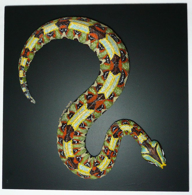 Hoa văn sặc sỡ đẹp mắt của rắn viper. (Ảnh: Galileo Ramos).