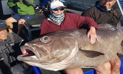 Con cá khổng lồ trong vòng tay của cần thủ.