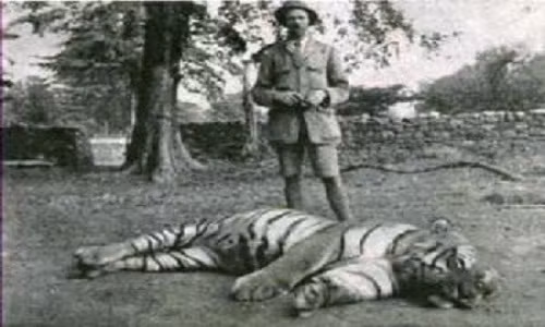 Jim Corbett bên cạnh xác con hổ.