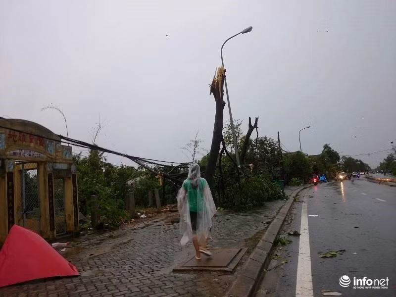 Cây cối gãy đổ trên một con đường ở TT-Huế. Nguồn: Infonet