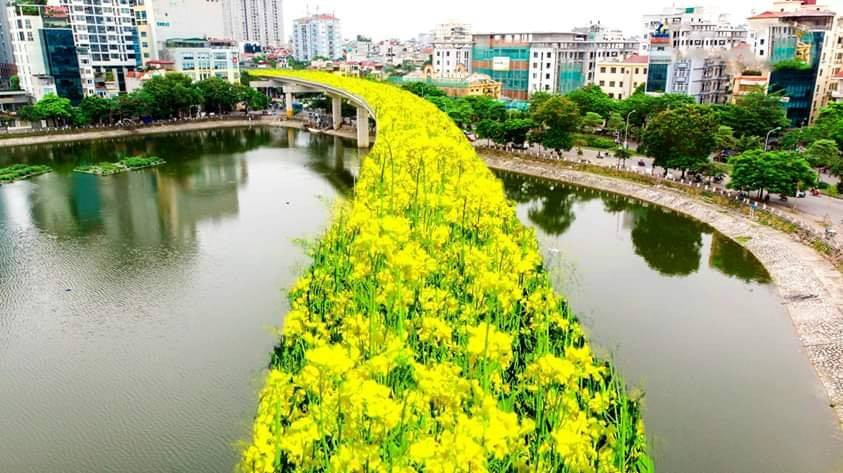 Quá ngán ngẩm với dự án đường sắt trên cao không biết bao giờ mới đi vào hoạt động, người dân đã chế ảnh trồng hoa nhằm tránh lãng phí để châm biếm dự án này.