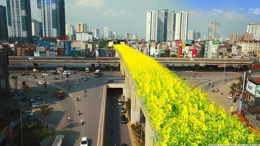 Việc người dân quan tâm đến dự án thể hiện được sự mong chờ của nhân dân Thủ đô về một dự án hiện đại, đưa Hà Nội xứng với các TP hiện đại trên thế giới. (Ảnh đề xuất trồng hoa cải ở đường sắt trên cao nhằm tránh lãng phí khi không biết khi nào dự án mới hoàn thành)